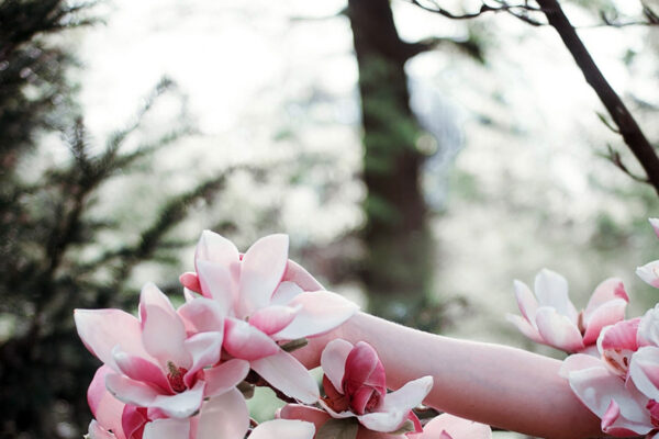 Tienda online de productos para bienestar