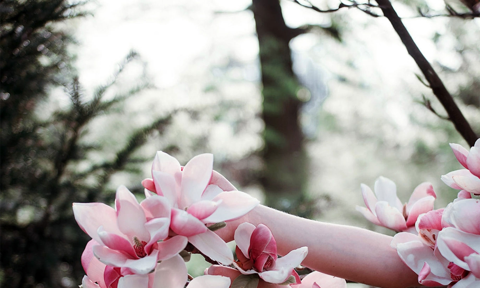 Tienda online de productos para bienestar