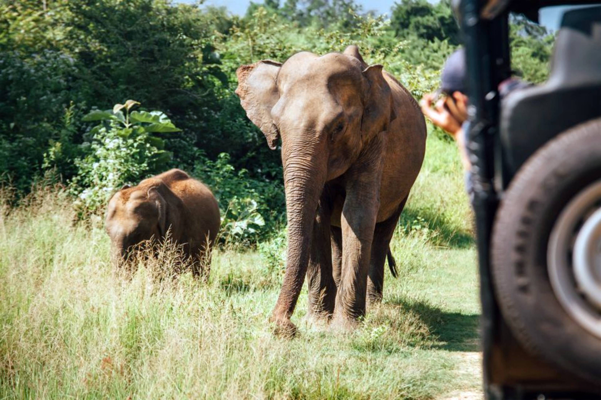 Viaje a Sri Lanka